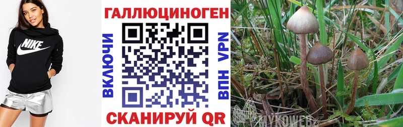 Псилоцибиновые грибы прущие грибы  Амурск 