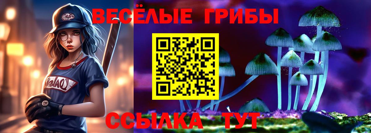 Галлюциногенные грибы Psilocybine cubensis Амурск